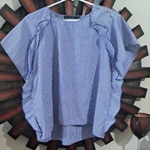 Zara Blue Striped Blouse